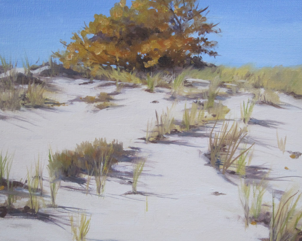 Fall Tree and Dunes, 8x10, $425