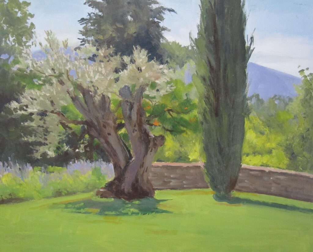 Old Olive Tree, 8x10, $525