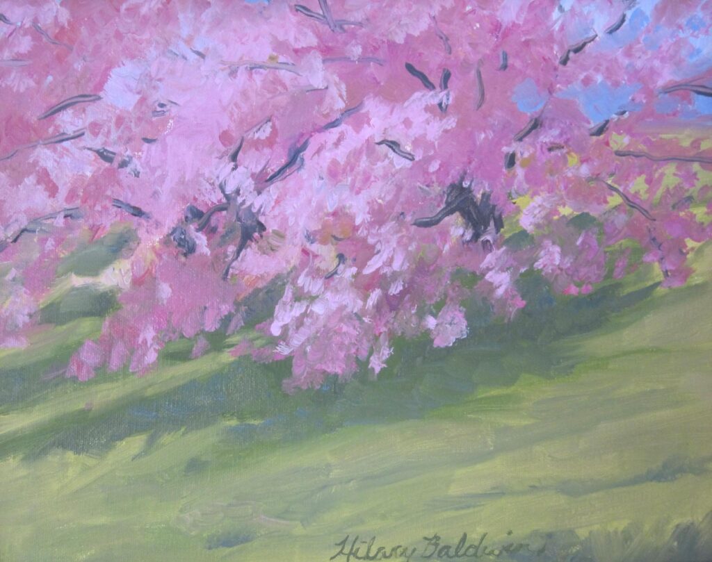 Blossoming Cherry, 8x10, $495