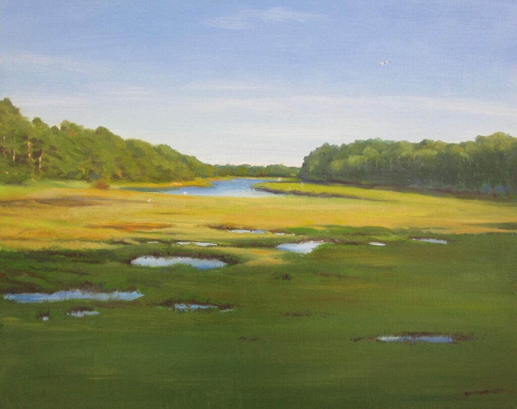 Marsh Light, 16x20, $2,100