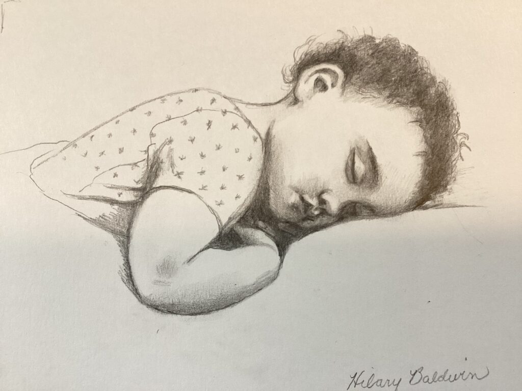 Rose, Pencil sketch, NFS