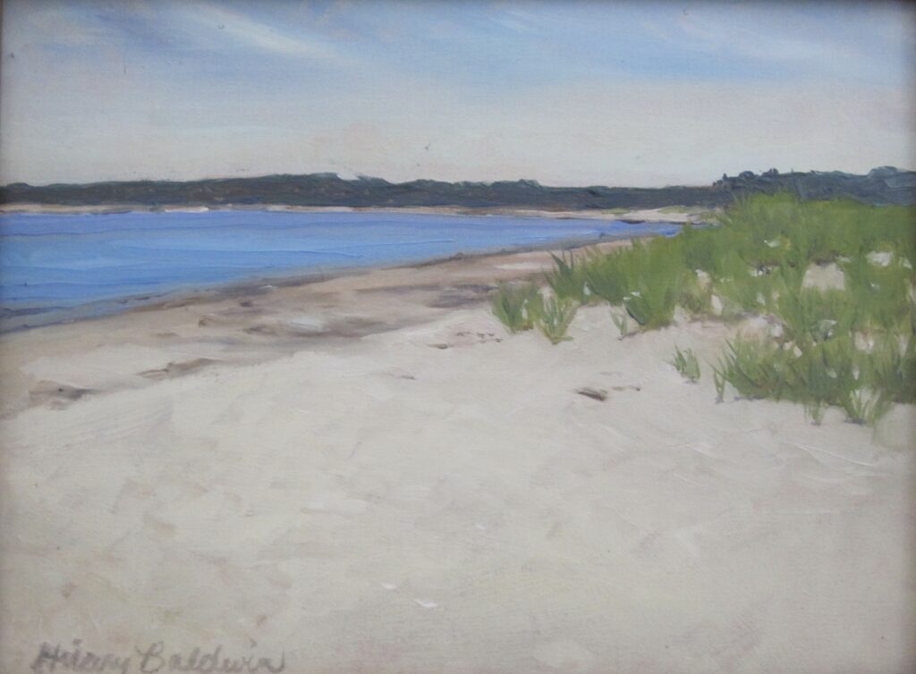 "Seagull Beach", 9x12, 625