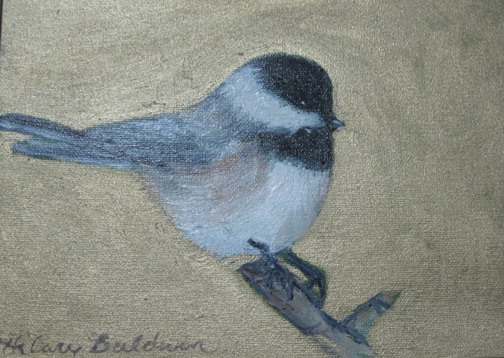 Black Capped Chickadee, 5x7, 375
