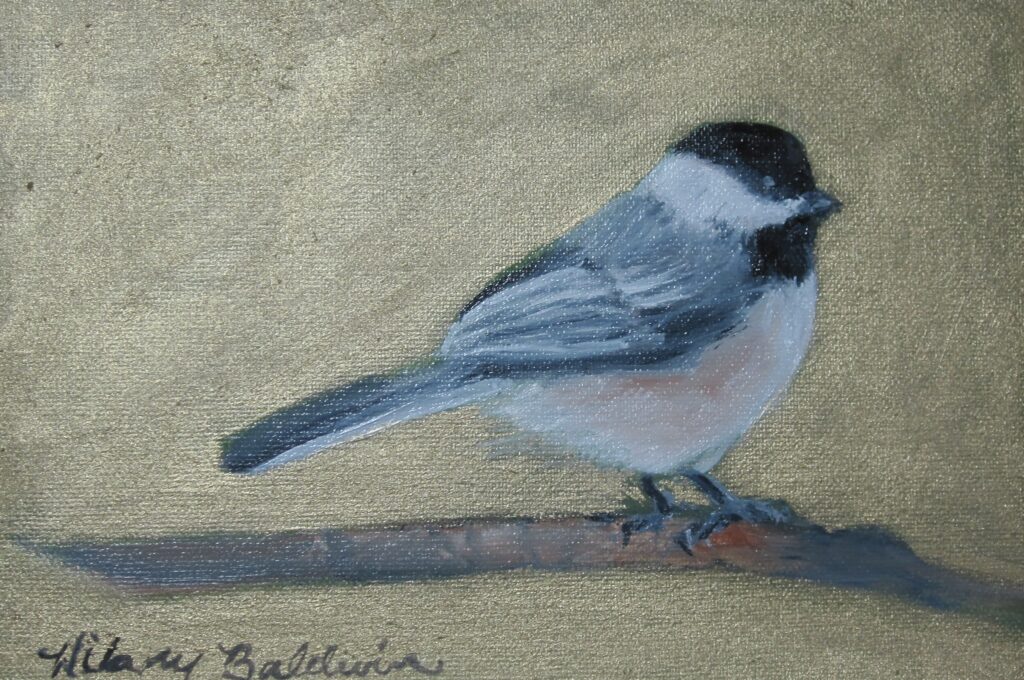 Black Capped Chickadee, II, 5x7, 375